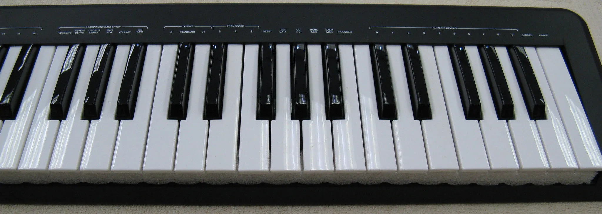 Alesis Q49 USB/Midi Keyboard Controller