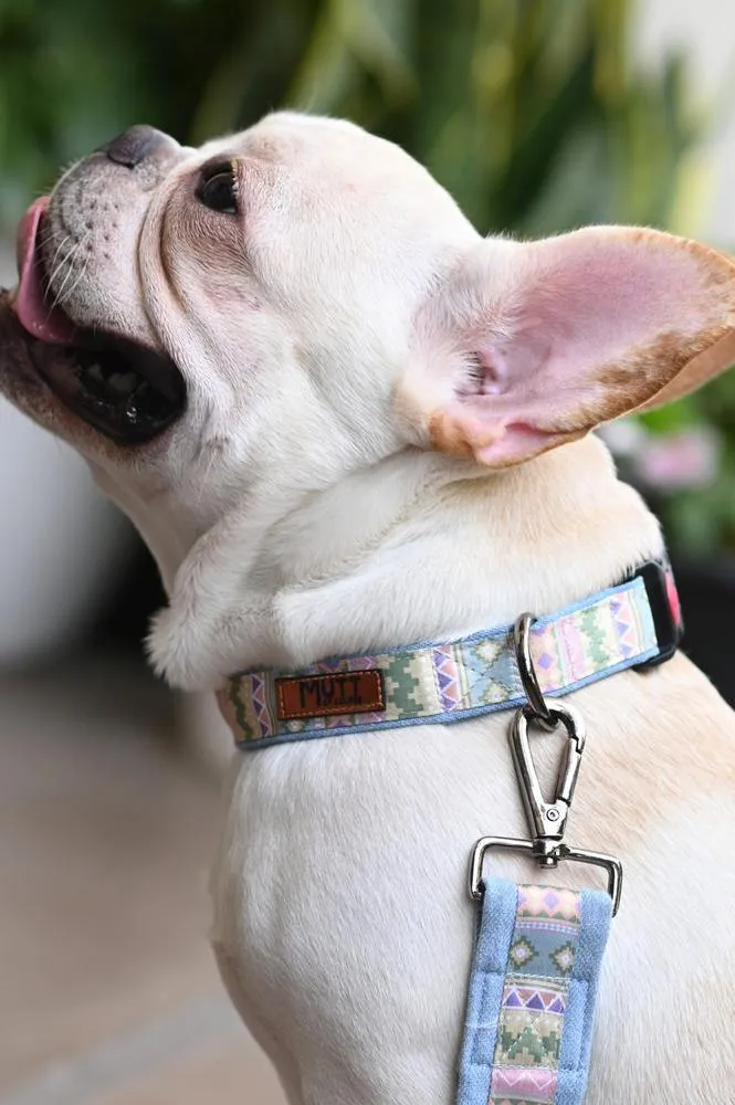 Aztec Denim Collar   Leash Set