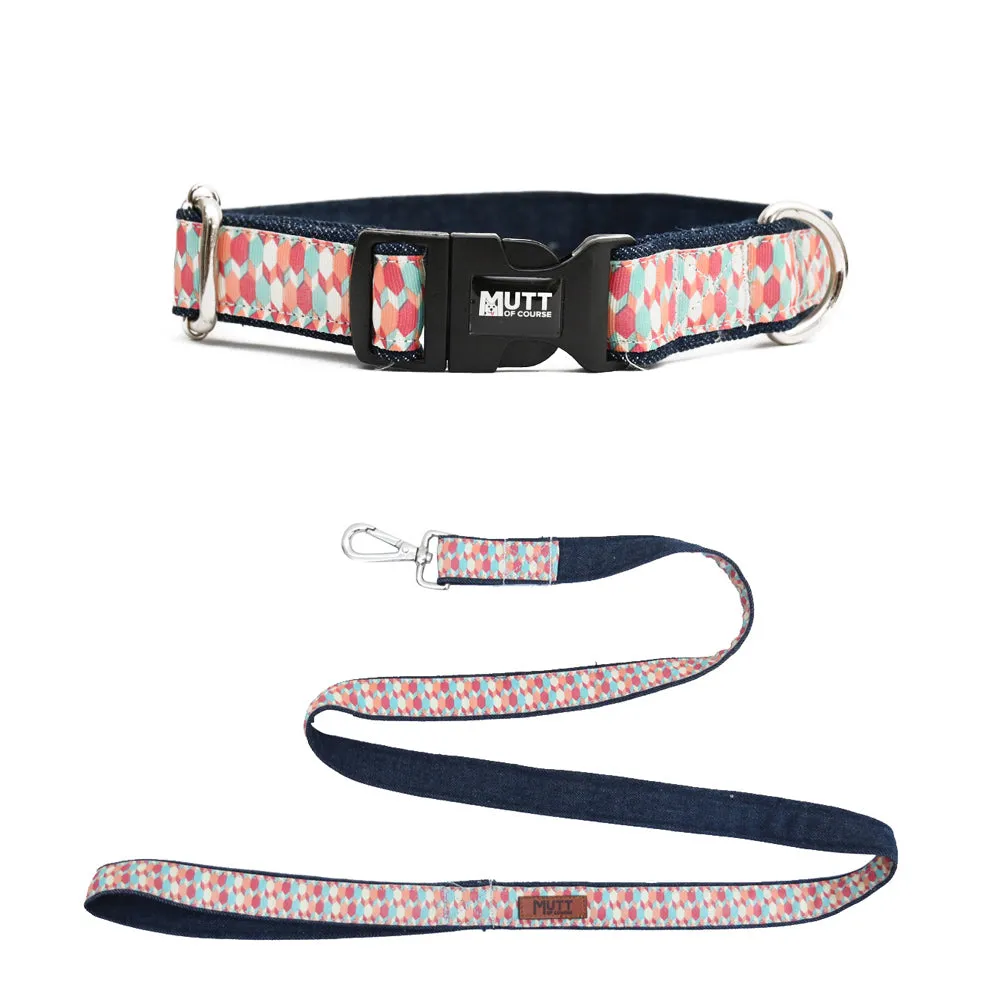 Candy Barr Denim Collar   Leash Set