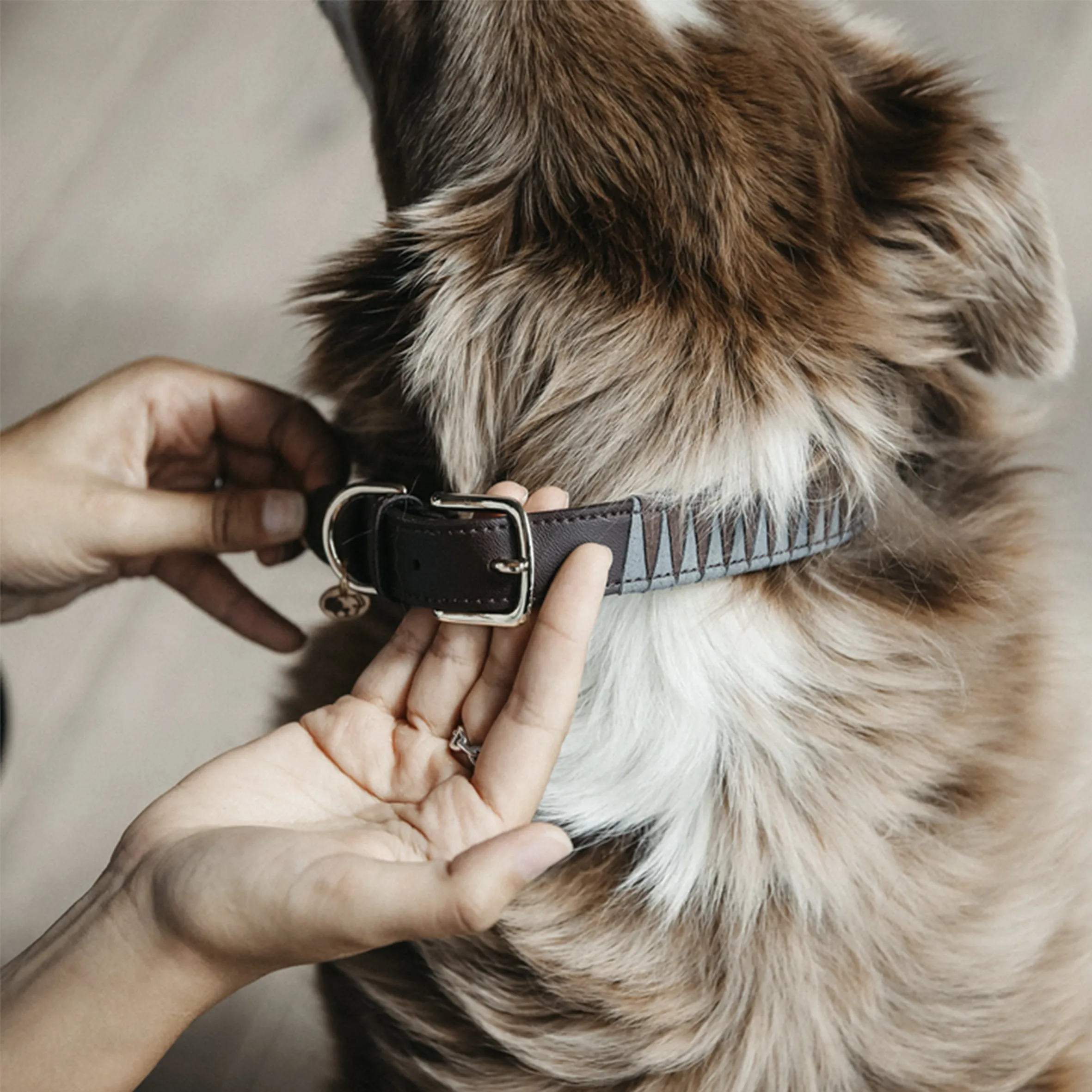 Dog Collar Triangle