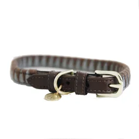 Dog Collar Triangle
