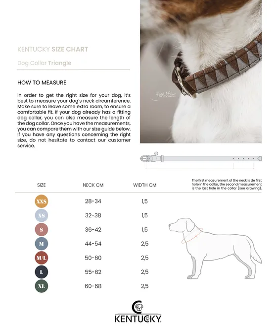 Dog Collar Triangle