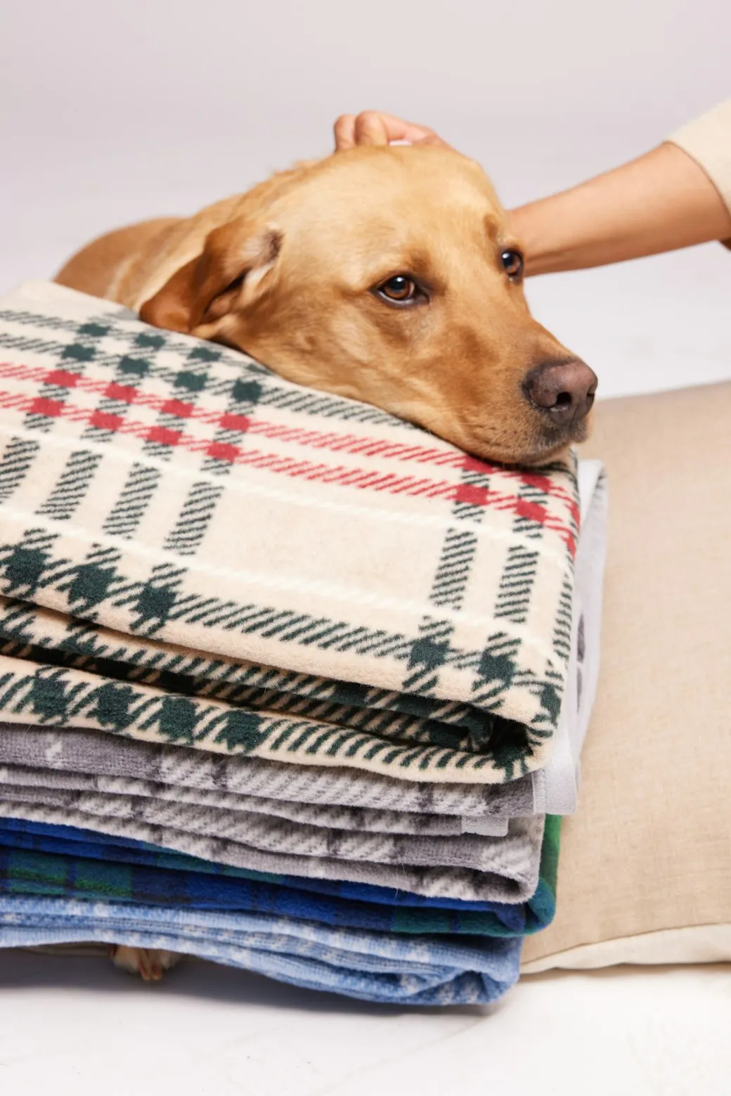 Eggnog Plaid Midi Blanket