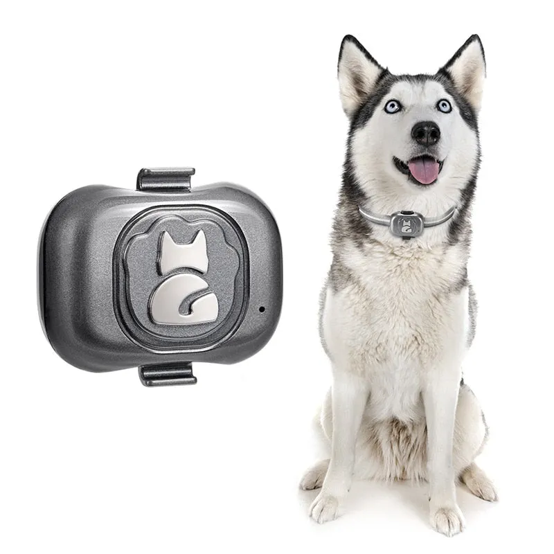 GPS Tracking Dog Collar - Waterproof & Anti Lost