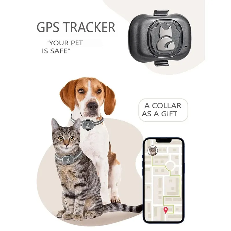 GPS Tracking Dog Collar - Waterproof & Anti Lost