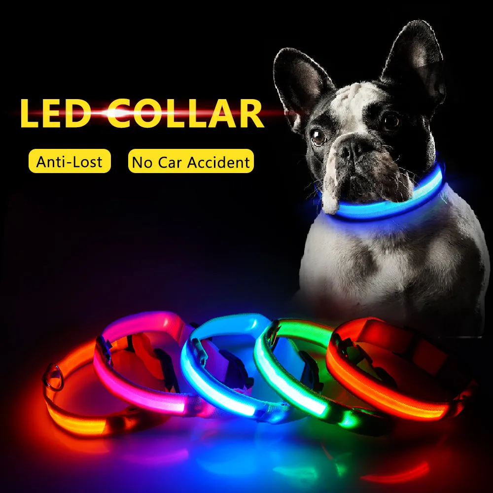 Led Dog Collar USB Charging or Batteries, 7 Colors - 6 Sizes XS ~ XXL