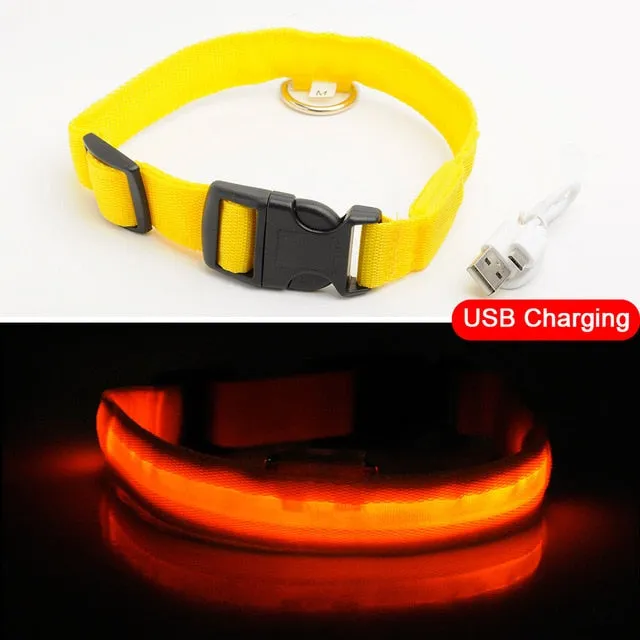 Led Dog Collar USB Charging or Batteries, 7 Colors - 6 Sizes XS ~ XXL