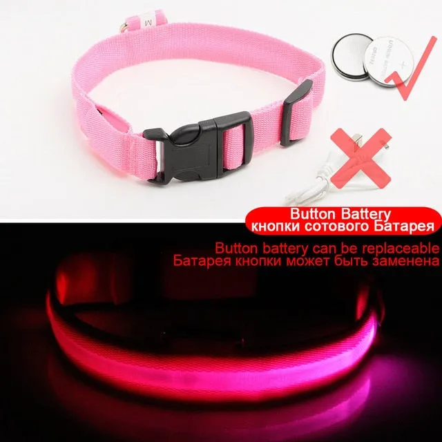 Led Dog Collar USB Charging or Batteries, 7 Colors - 6 Sizes XS ~ XXL