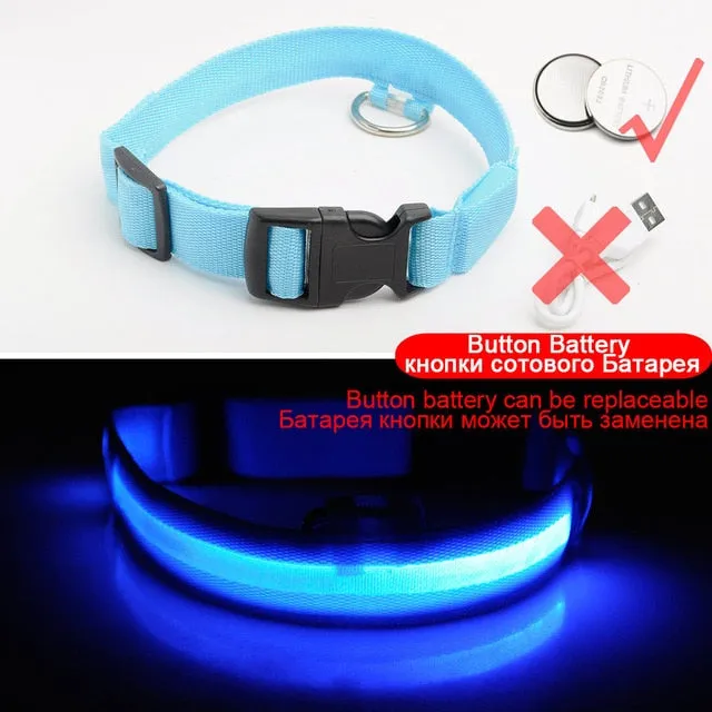 Led Dog Collar USB Charging or Batteries, 7 Colors - 6 Sizes XS ~ XXL