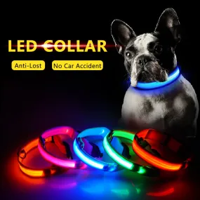 Led Dog Collar USB Charging or Batteries, 7 Colors - 6 Sizes XS ~ XXL