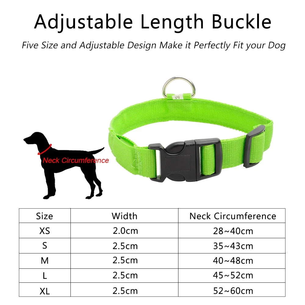 Led Dog Collar USB Charging or Batteries, 7 Colors - 6 Sizes XS ~ XXL
