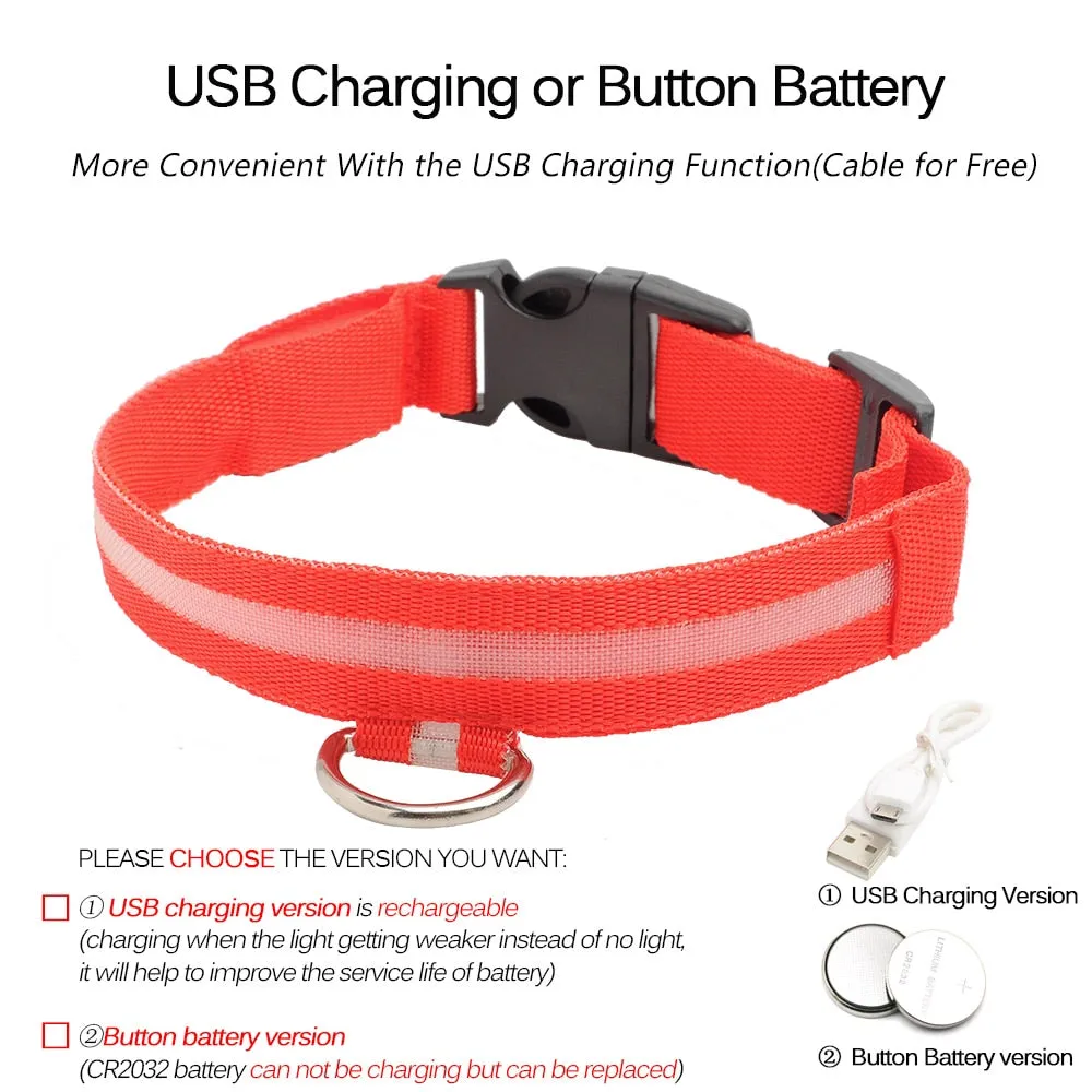 Led Dog Collar USB Charging or Batteries, 7 Colors - 6 Sizes XS ~ XXL