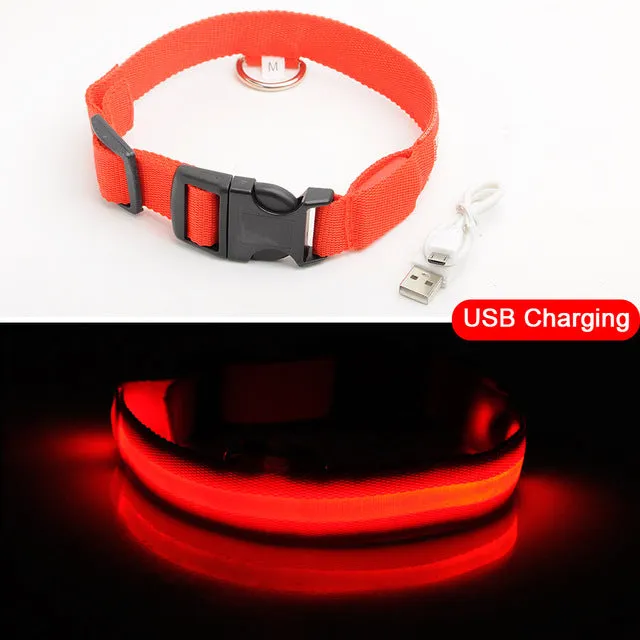 Led Dog Collar USB Charging or Batteries, 7 Colors - 6 Sizes XS ~ XXL