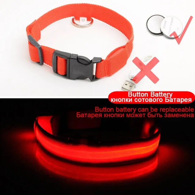 Led Dog Collar USB Charging or Batteries, 7 Colors - 6 Sizes XS ~ XXL