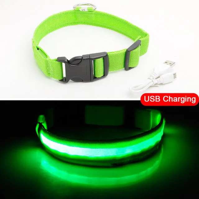 Led Dog Collar USB Charging or Batteries, 7 Colors - 6 Sizes XS ~ XXL