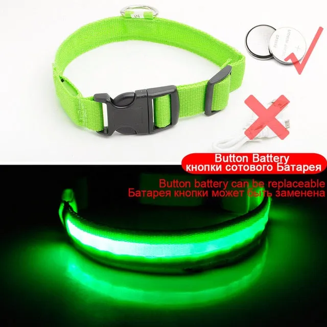 Led Dog Collar USB Charging or Batteries, 7 Colors - 6 Sizes XS ~ XXL