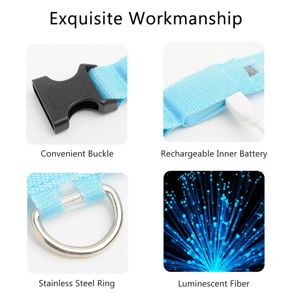Led Dog Collar USB Charging or Batteries, 7 Colors - 6 Sizes XS ~ XXL