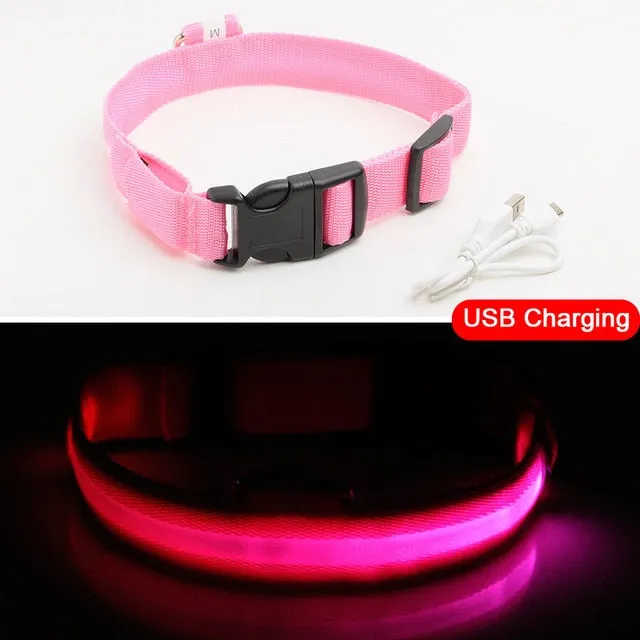 Led Dog Collar USB Charging or Batteries, 7 Colors - 6 Sizes XS ~ XXL
