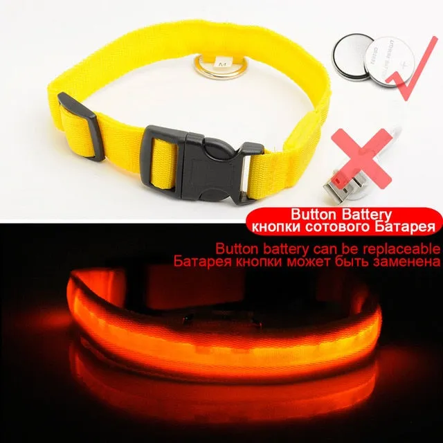 Led Dog Collar USB Charging or Batteries, 7 Colors - 6 Sizes XS ~ XXL