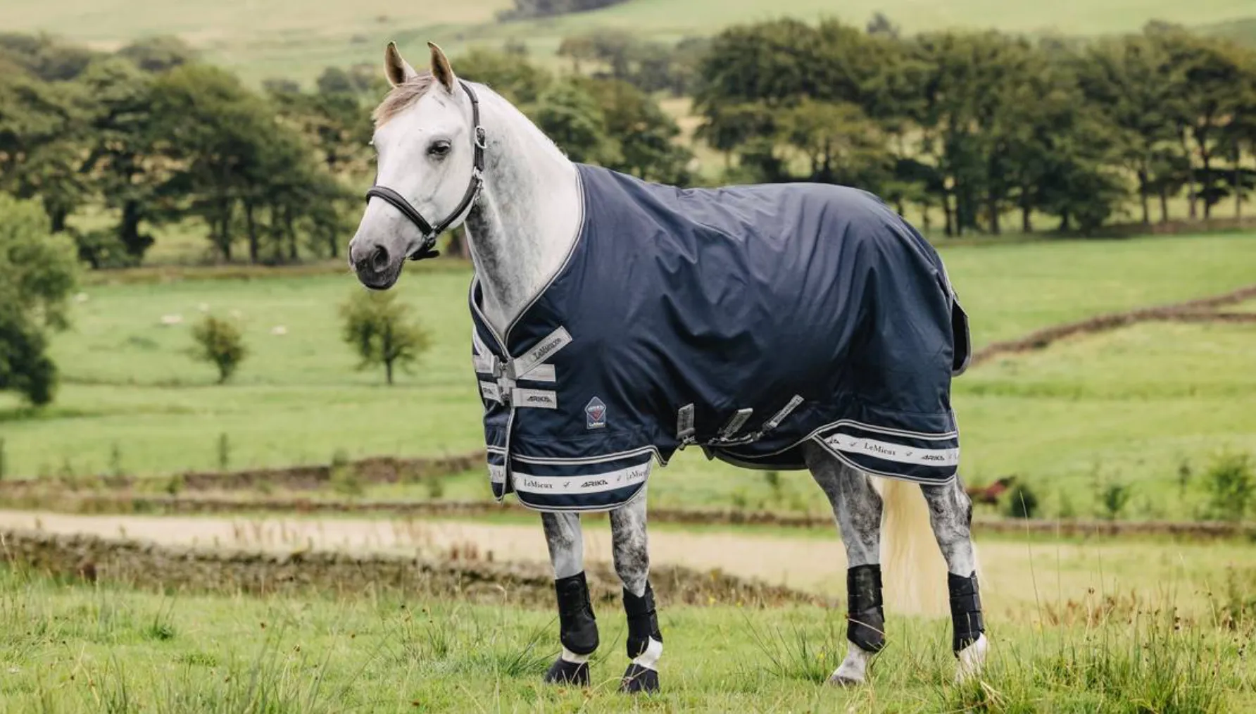 LeMieux Arika Storm-Tek Rug 100g