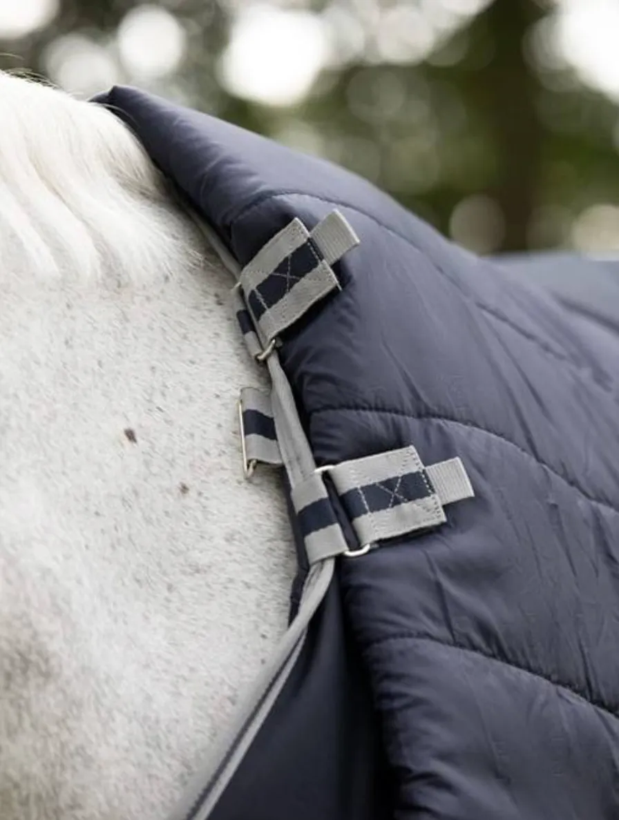 LeMieux Arika Storm-Tek Rug 200g