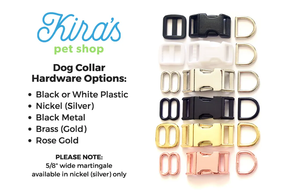 Modern Light Blue & White Dog Collar