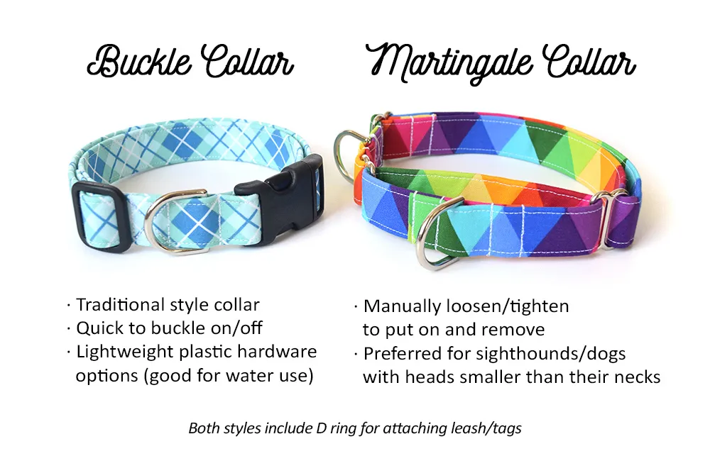 Modern Light Blue & White Dog Collar