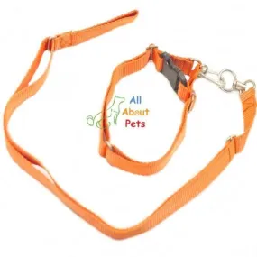 Nylon Lead & Collar For Dogs