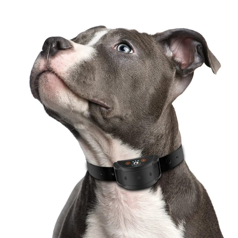 PD 258L Anti Barking Collar With Shock