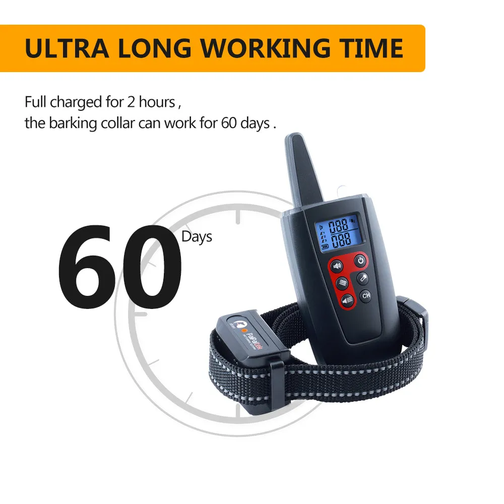PD 526V Remote Training No Shock Collar