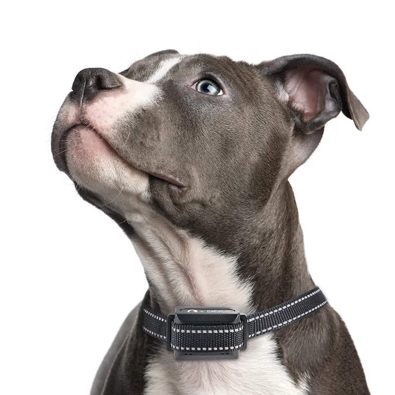 PD 526V Remote Training No Shock Collar
