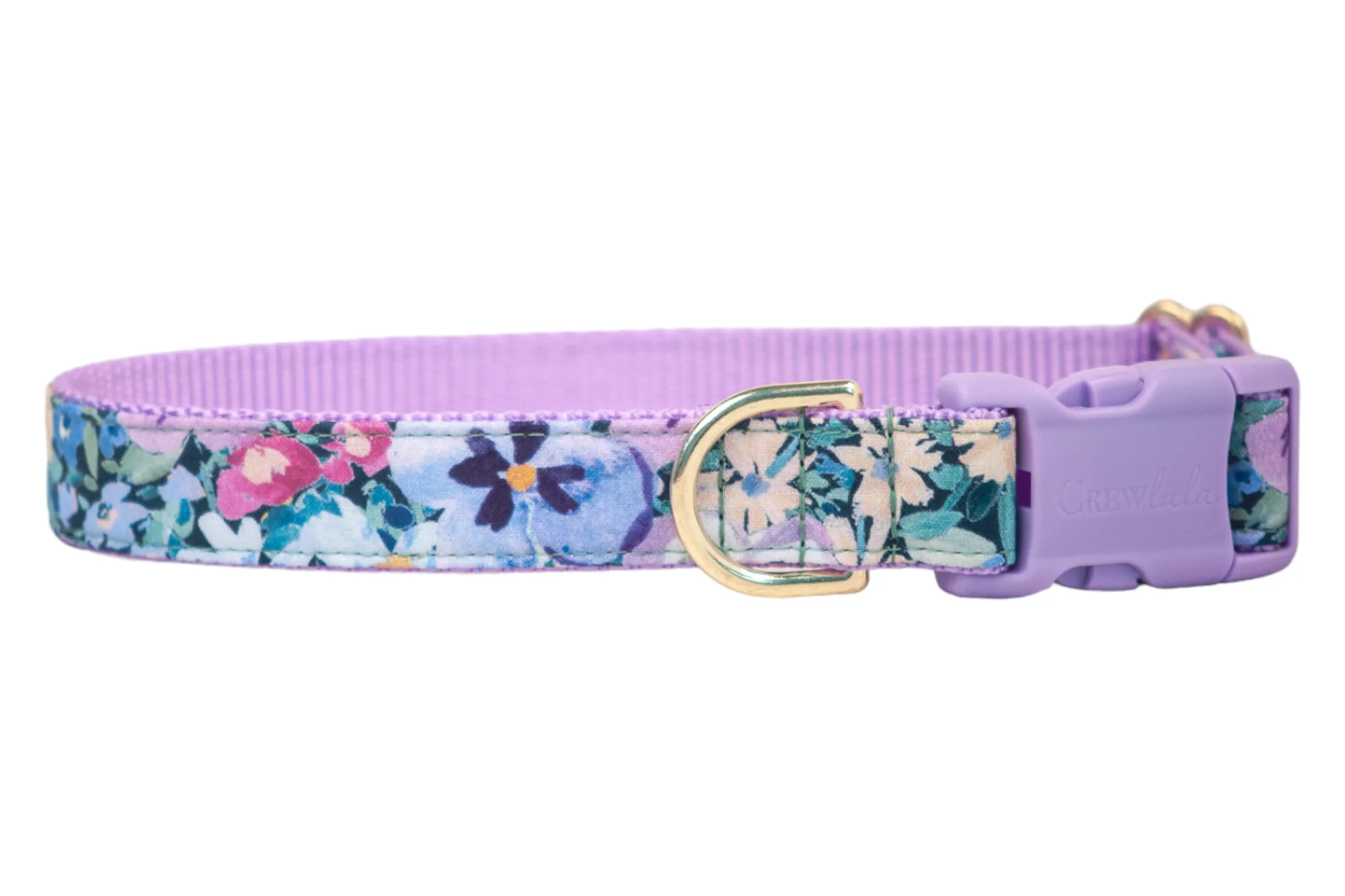 Purple Pansies Dog Collar