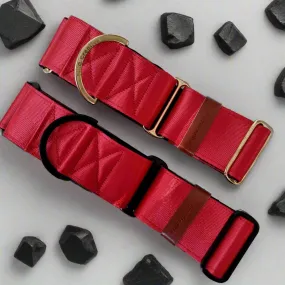 Red martingale collar - neoprene padded