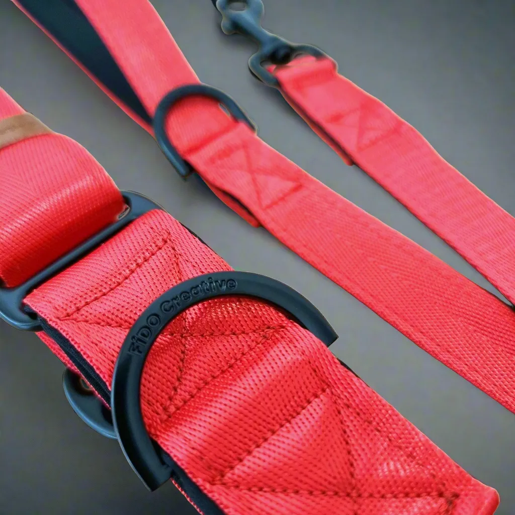 Red martingale collar - neoprene padded