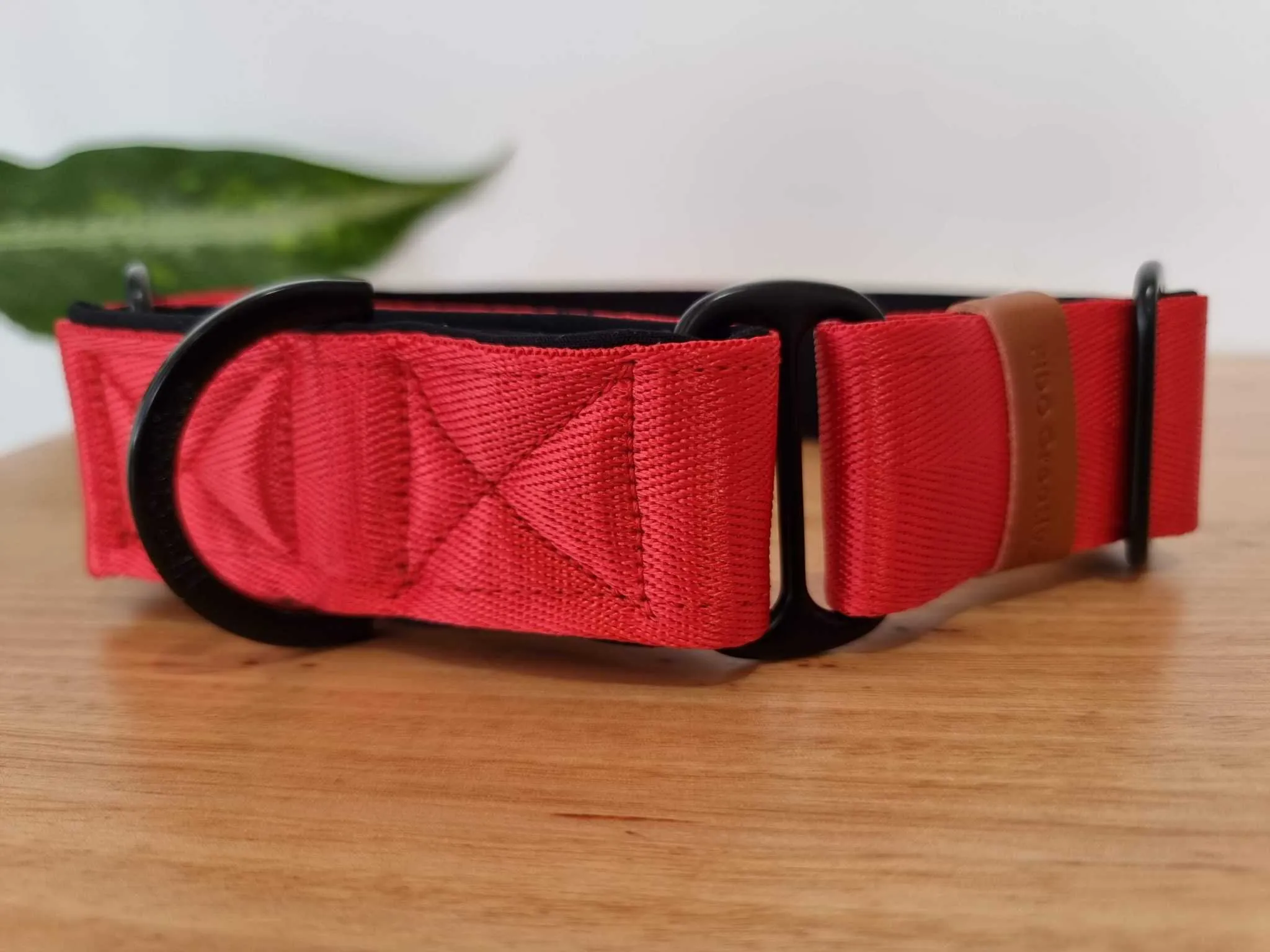 Red martingale collar - neoprene padded