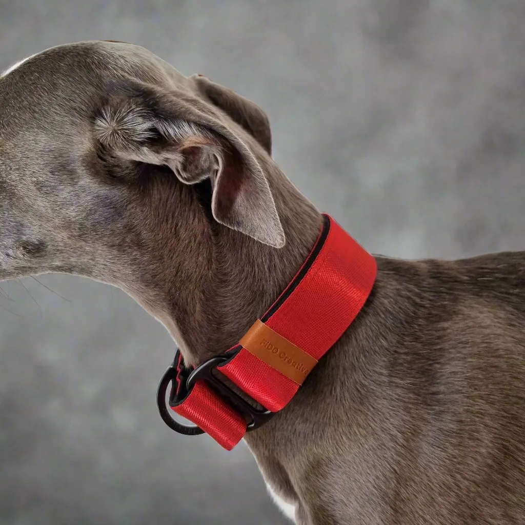 Red martingale collar - neoprene padded