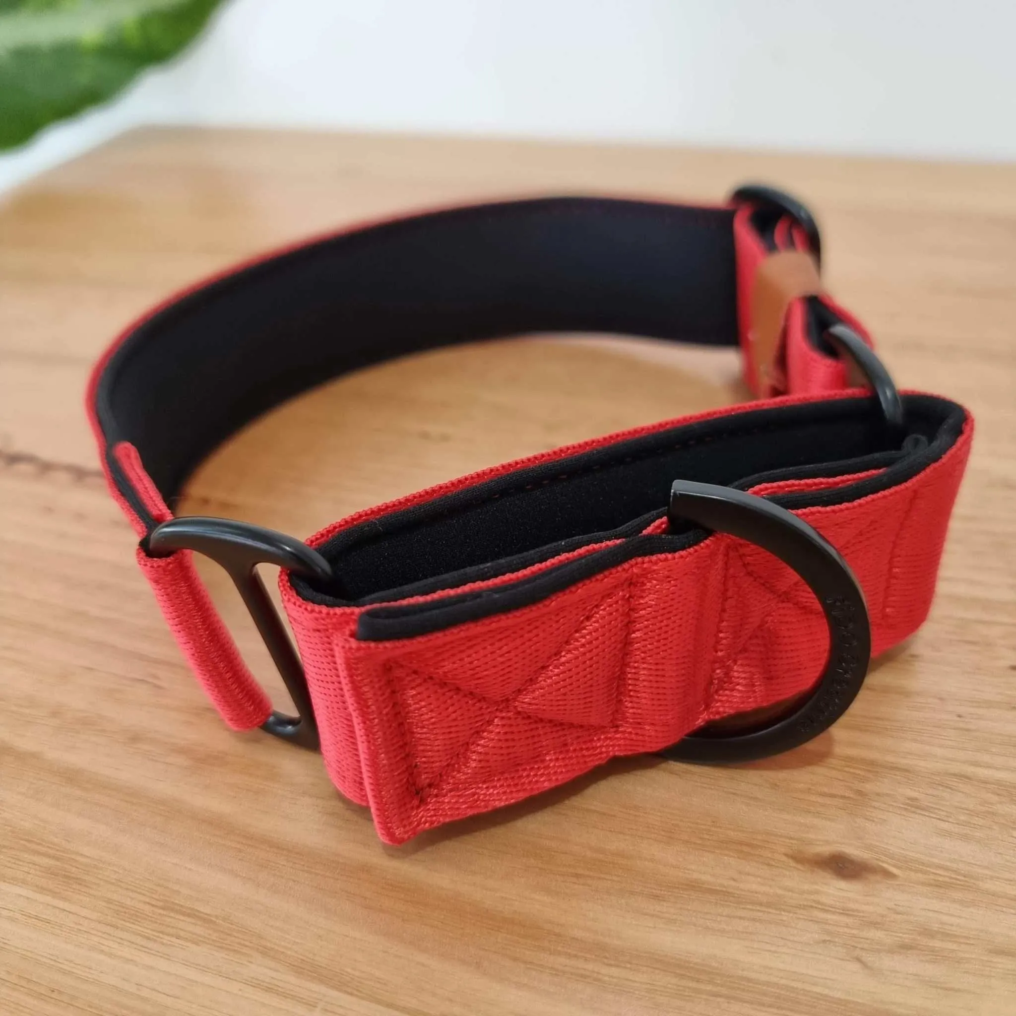 Red martingale collar - neoprene padded