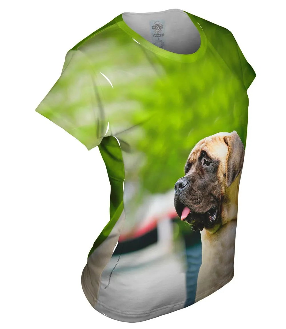 Sad Face Mastiff