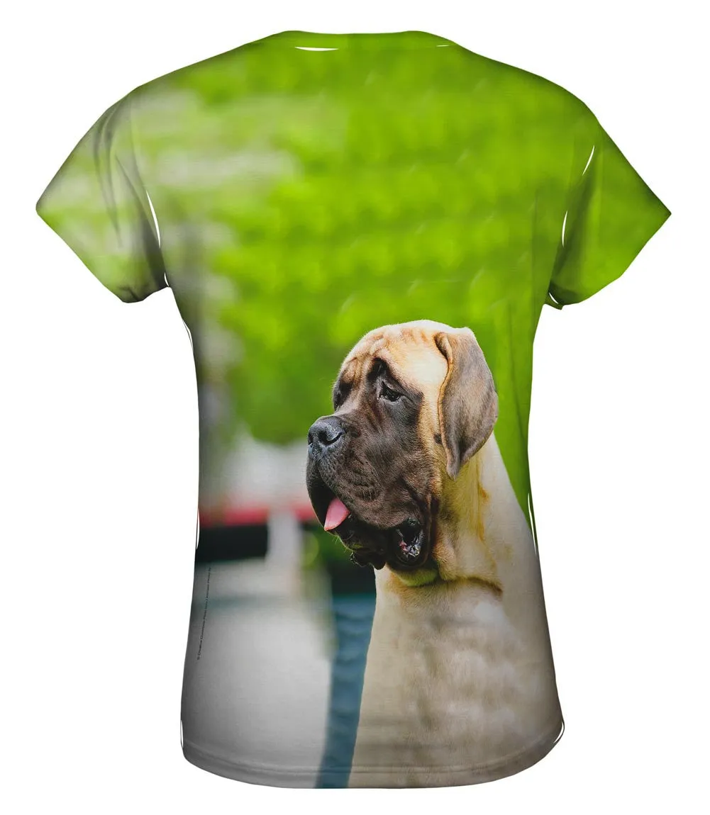 Sad Face Mastiff