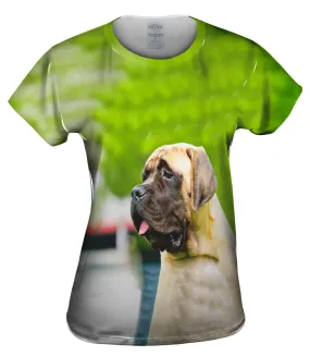 Sad Face Mastiff