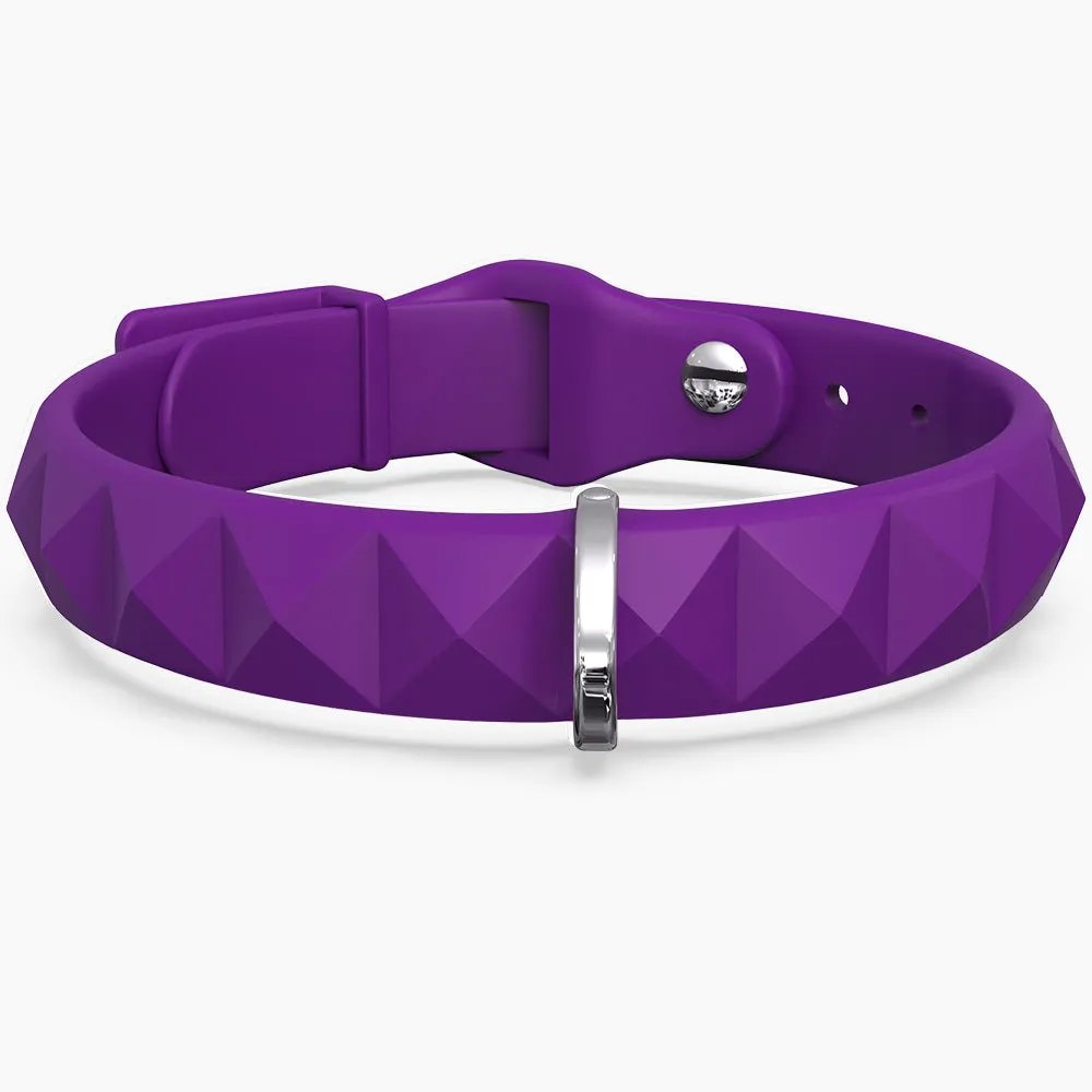 SpikeFLY  Collar