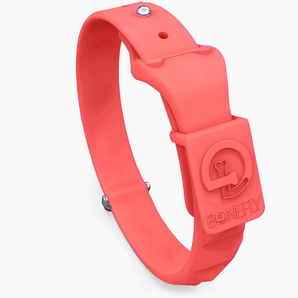 SpikeFLY  Collar