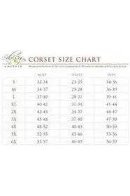 Top Drawer 4 PC Midnight Angel Corset Costume