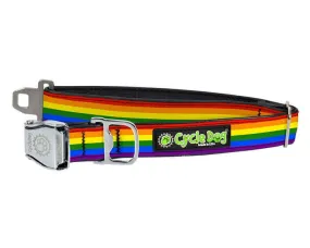 Waterproof no stink rainbow collar